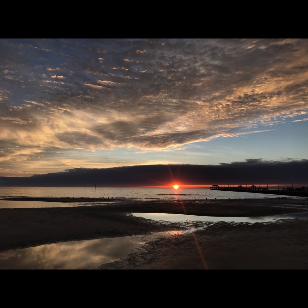 Meet your Posher, Rush